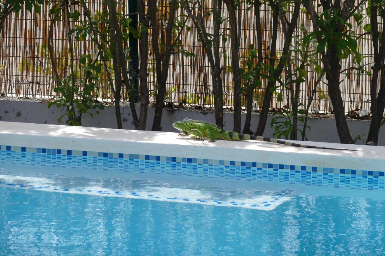 Villa De Mango Fontein ภายนอก รูปภาพ