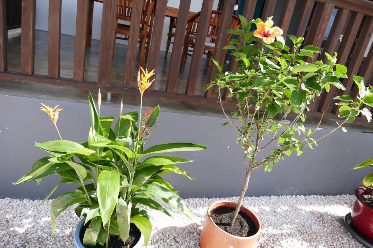 Villa De Mango Fontein ภายนอก รูปภาพ