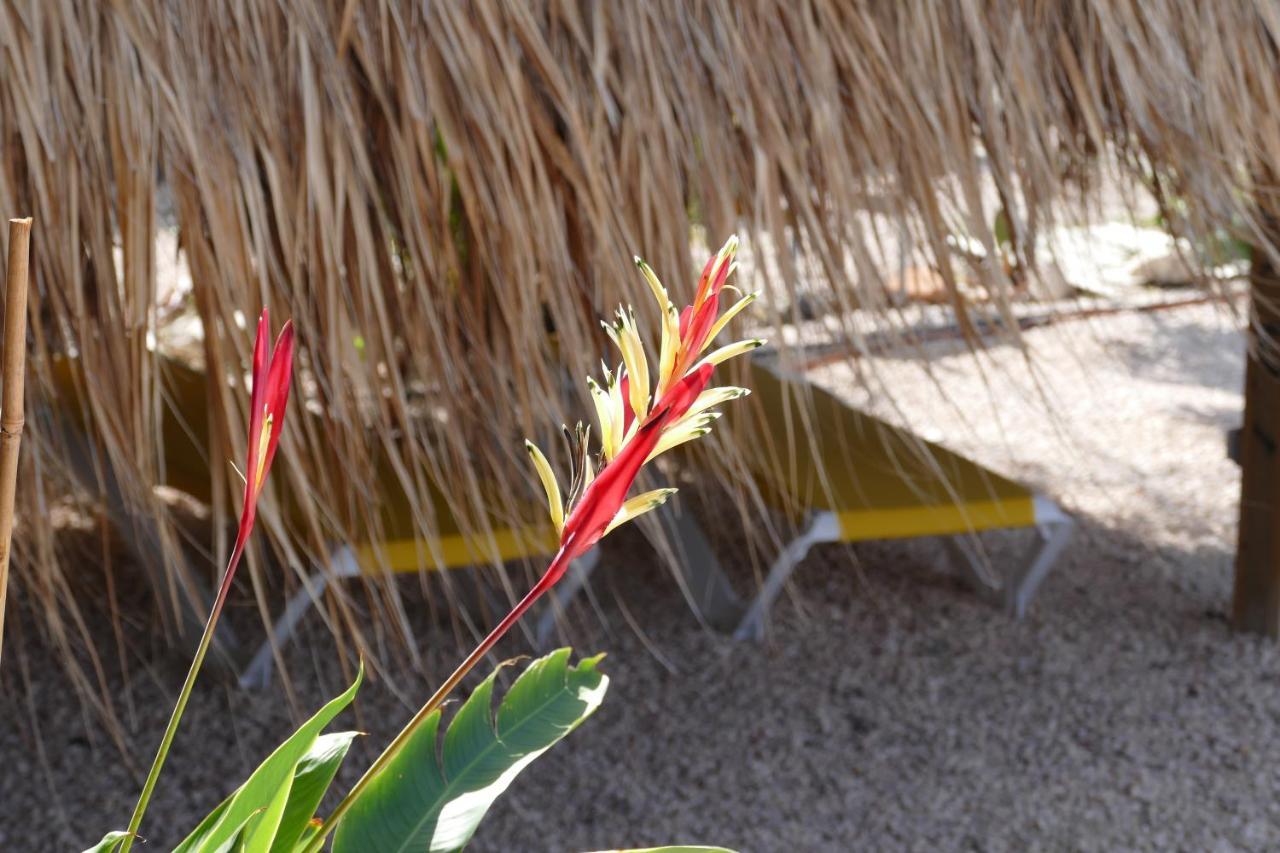 Villa De Mango Fontein ภายนอก รูปภาพ